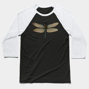Common Green Darner Dragonfly Entomology Baseball T-Shirt